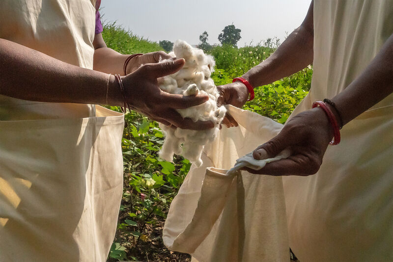 Regenerative Organic Certified&reg; Programs