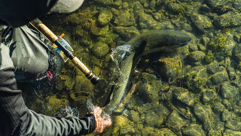 Patagonia Fly Fish