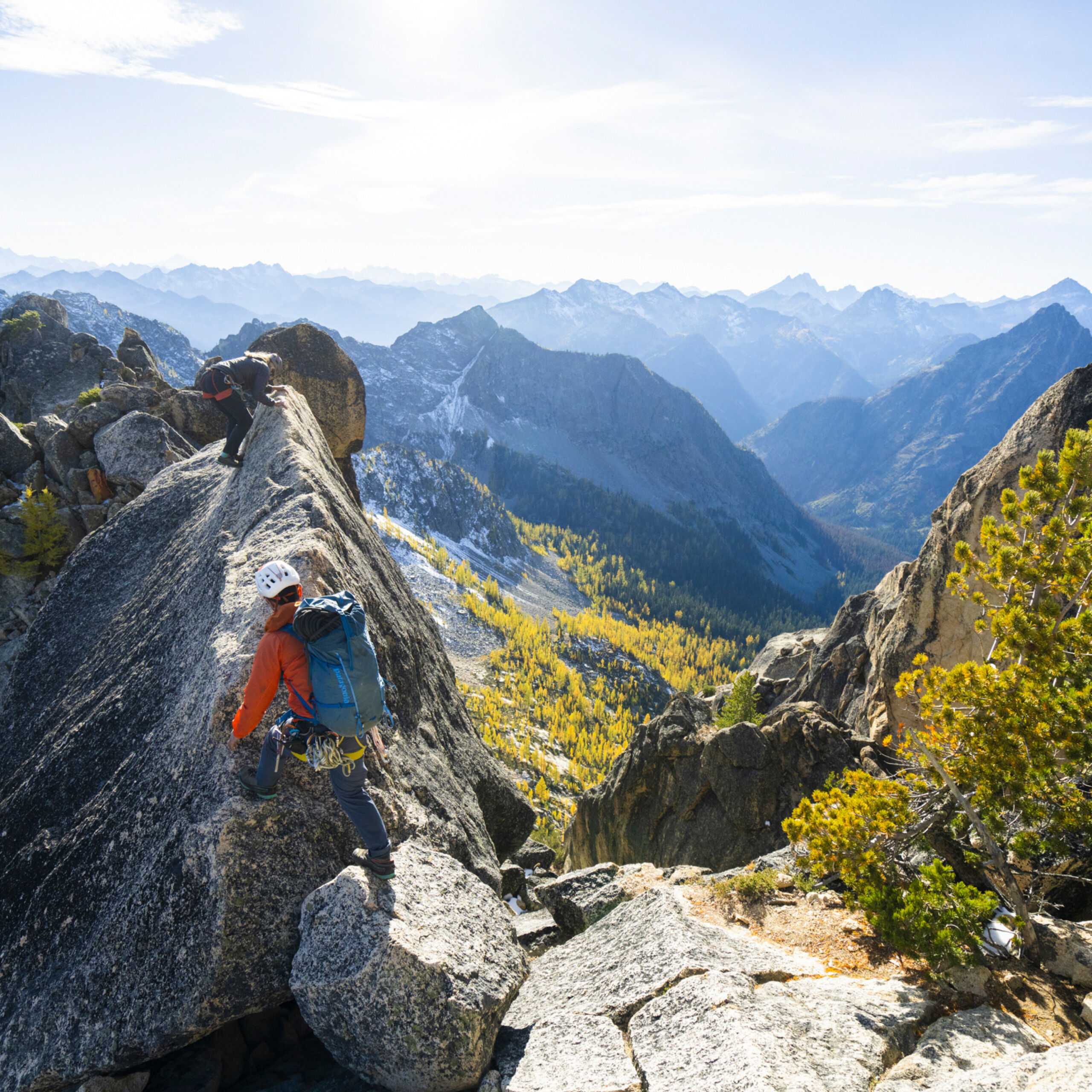 Technical Packs & Backpacks by Patagonia