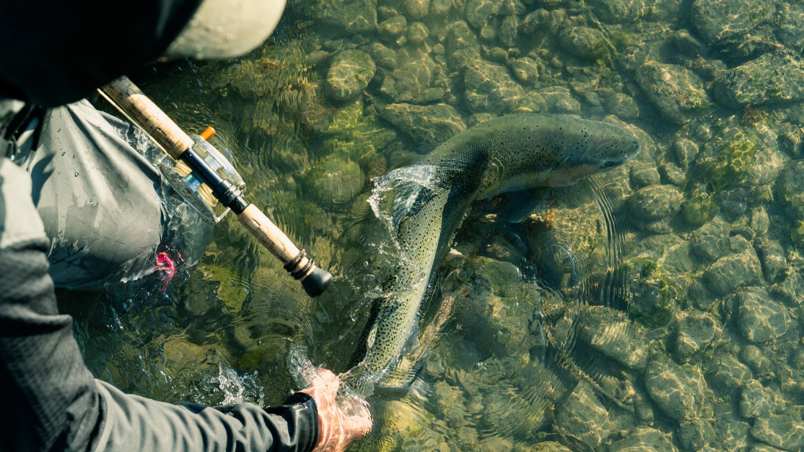 Fly Fishing - Patagonia