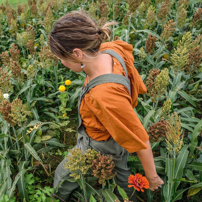 Women's Seasonal Prints & Colors