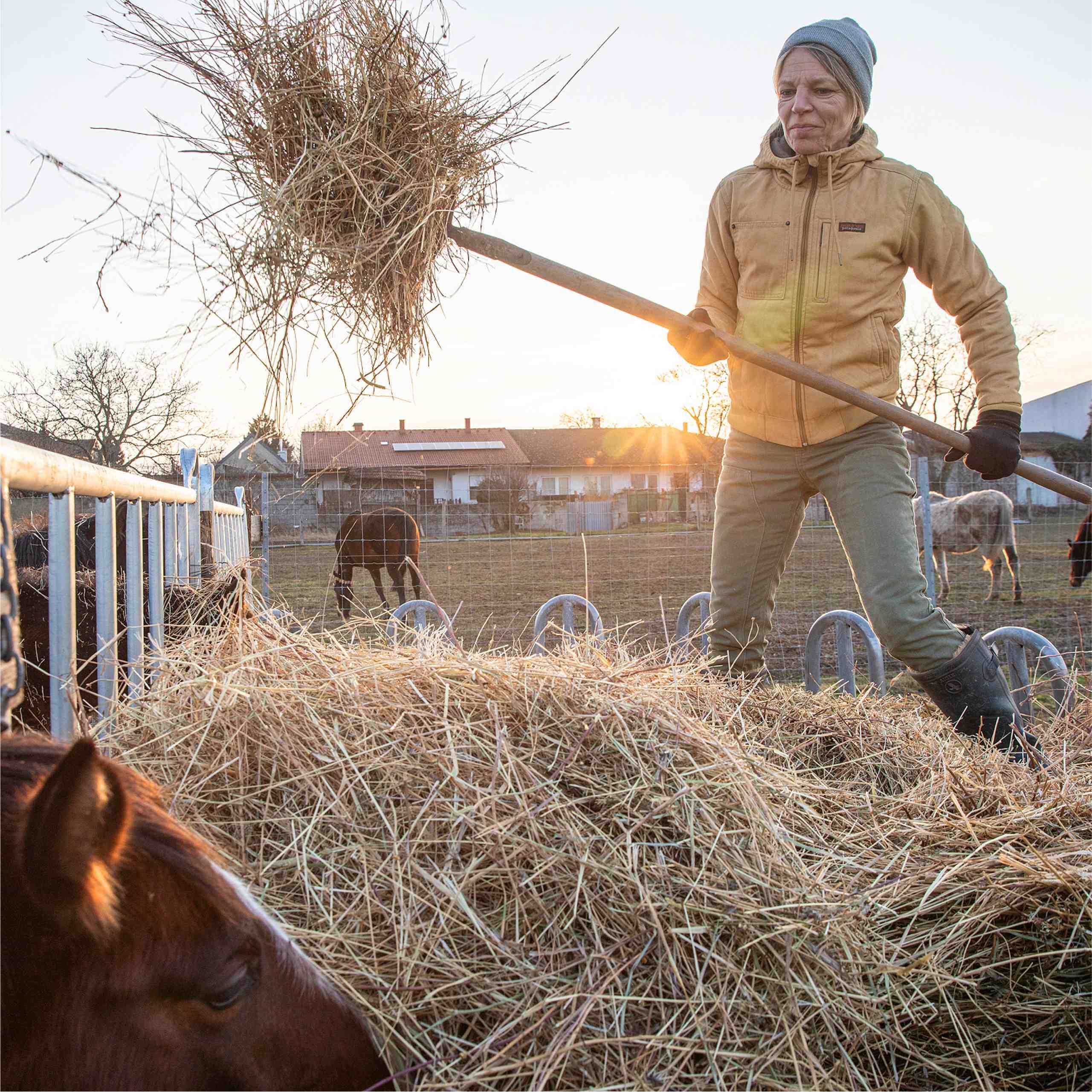 Women's Workwear by Patagonia - Built for Outdoor Work
