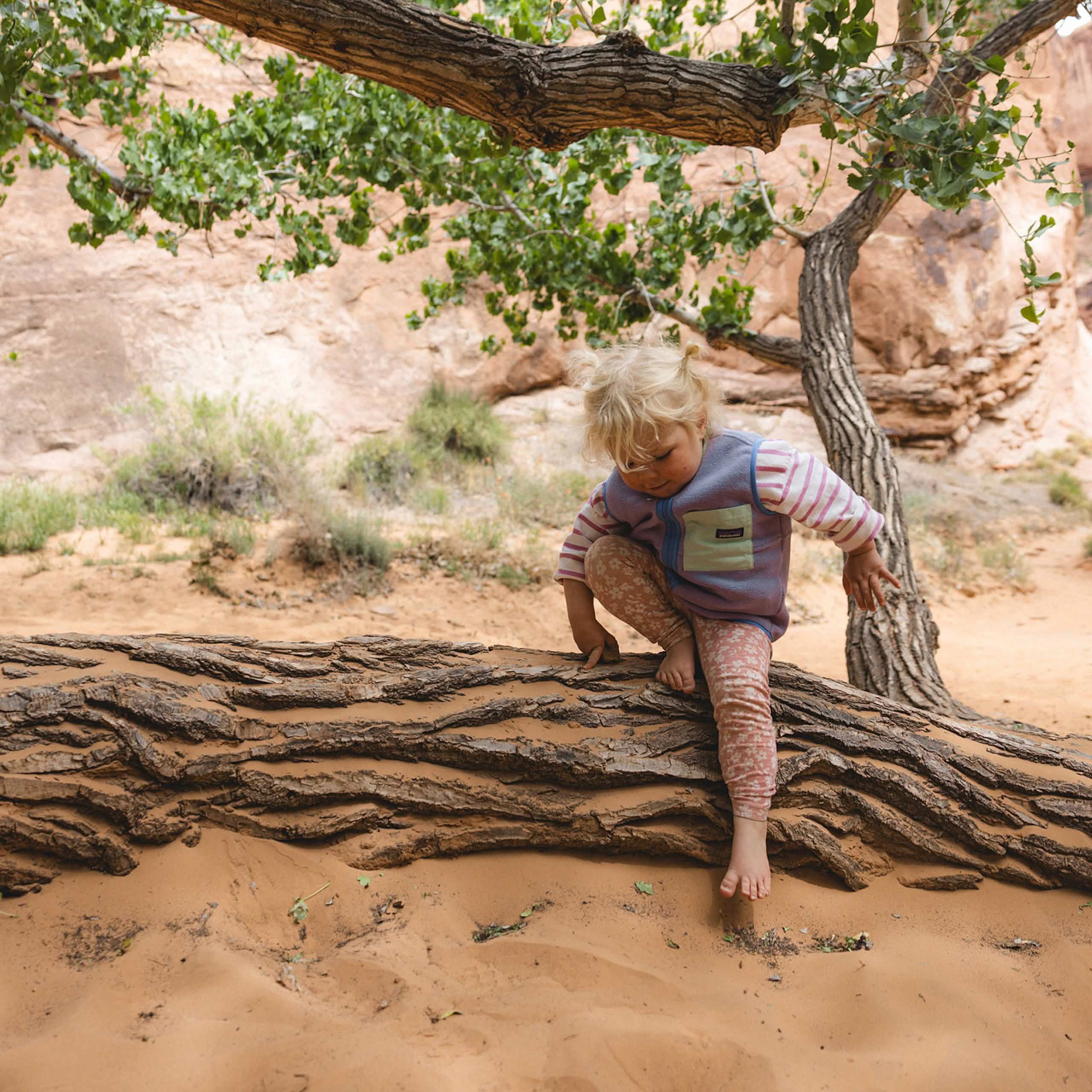 patagonia kids 子供用ウェア 12-18M Children's Outdoor Clothing & Gear by Patagonia
