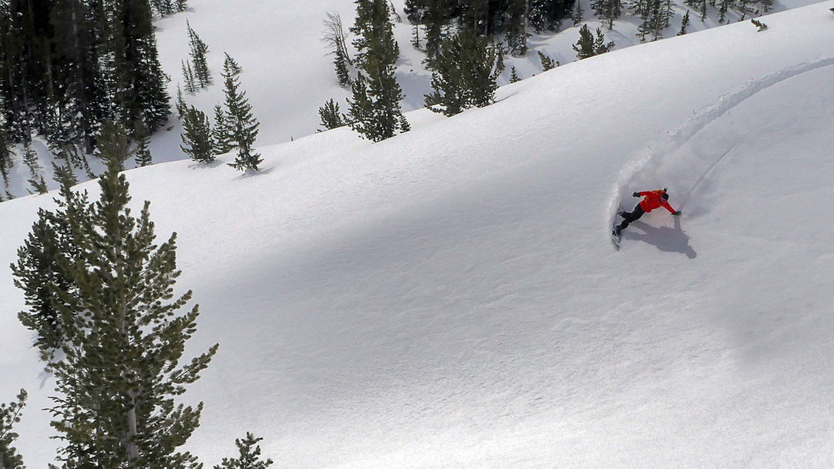 Skiing and Snowboarding